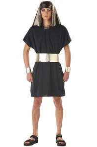Brand New Adult Men Egyptian King Tut Pharaoh Halloween Costume - Picture 1 of 1
