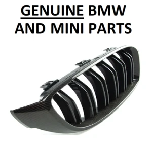 Original BMW M3, M4 Kühlergrill Carbon M Performance. 51712456326. RECHTS 32C - Bild 1 von 5