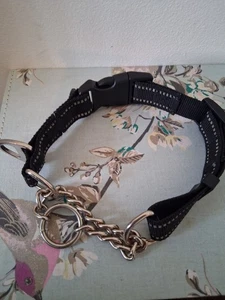 Martingale Dog Collar - Picture 1 of 3