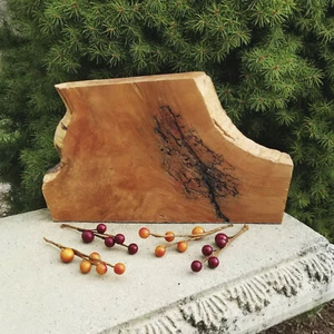 LICHTENBERG FRAKTAL HOLZ GEBRANNTE KUNST - Bild 1 von 5