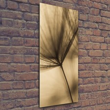 Wand-Bild Kunstdruck aus Hart-Glas Hochformat 50x125 Pusteblume