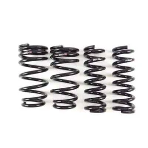 RS-R T999D for 14+ Lexus RC-F / 2016 GS-F Down Lowering Springs - Picture 1 of 1