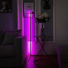 Contemporary Floor Lamp RGB Corner Floor Lamp For Home Office REL