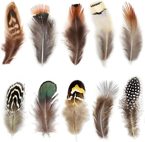 300Pcs 10 Style Natural Feathers Assorted Mixed Feathers for Dream Catcher Craf