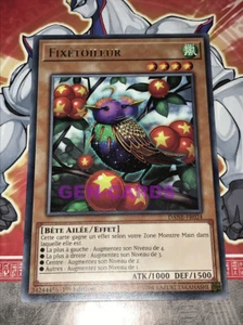 Yu Gi Oh Karte Star Fixed DANE-FR024 - Bild 1 von 1