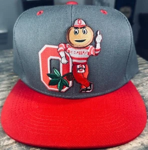 Ohio State Buckeyes Hat - Picture 1 of 2