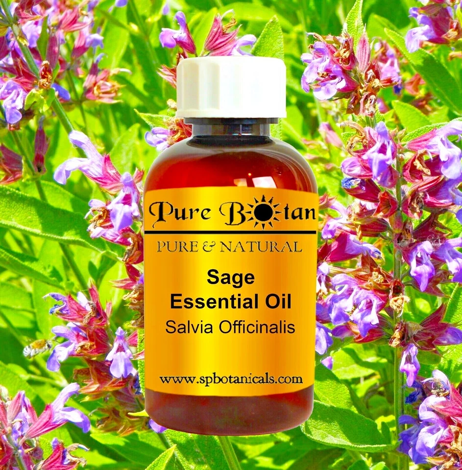 1oz 2oz 4oz 8oz 16oz · 50+ Bulk Essential Oils! · Therapeutic Grade! ·100% Pure! - Image 1 of 1