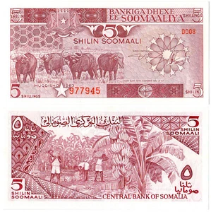 Somalia 5 Shilin Soomaali P#31a (1983) Bankiga Dhexe ee Soomaaliya UNC - Picture 1 of 1