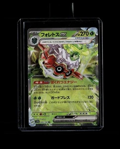 apanese Tera Forretress ex 009/190 RR - Picture 1 of 1