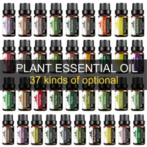 10mL Essential Oils Fragrances Oil Therapeutic Grade Oil Natural Aromatherapy US - Picture 1 of 6