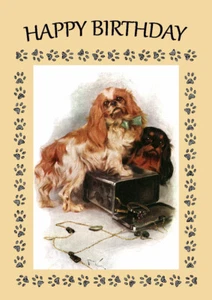 KÖNIG CHARLES ENGLISCHES SPIELZEUG SPANIEL HUND GEBURTSTAG GRUSS NOTIZKARTE - Bild 1 von 1
