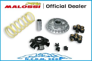 VARIATORE MALOSSI MULTIVAR 2000 KYMCO XCITING - XCITING R 300 ie 4T LC euro 3 - Imagen 1 de 4