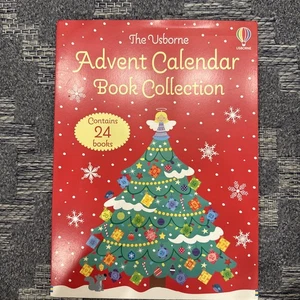 Usborne Adventskalender Buchsammlung 24 Taschenbücher Kinder Minibücher NEU - Bild 1 von 3