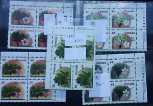 CANADÁ VARIOS BLOQUES DE ESQUINA DE FRUTAS EN ESTADO BASTANTE BUENO CASI NUEVO BLOQUES DE ESQUINA CAT. $46 CAN. ENVÍO $1.99 - Imagen 1 de 3