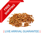 Live Organic Mealworms 250-2500ct Meal Worms Shipped w/Live Arrival Guarantee 