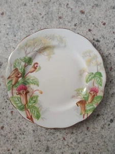 Royal Albert. Jack-In-A-Pulpit. Small Plate. (16cm). Made In England. - Bild 1 von 5