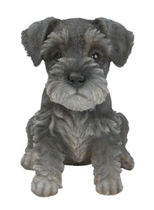 Adorno en miniatura Schnauzer cachorro cachorro Vivid Arts para mascotas - Imagen 1 de 2