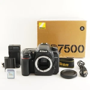 [Only 834 Shots] Nikon D7500 In Box +32GB SDHC Card DSLR Camera from Japan #7471 - Picture 1 of 14