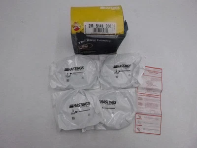 Juegos de anillos dúctiles Hastings Premium 2M5141030 para Dodge Charger 2009-2014 Foto 1 de 3