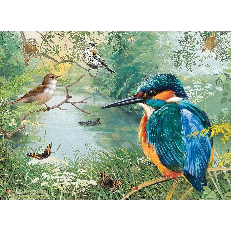 Otter House Nature Reserve - 1000pc Jigsaw Puzzle