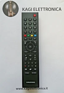TELECOMANDO GRUNDING TP6187R-P1 NUOVO ORIGINALE - Picture 1 of 1