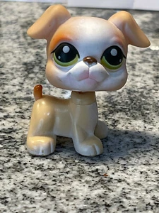 Littlest Pet Shop LPS #83 Boxer Perro Cachorro Bronceado Blanco Verde Punto Ojos HASBRO 2006 - Imagen 1 de 8