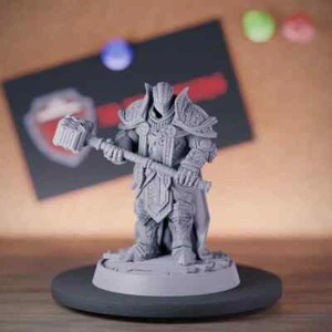 Menschlicher Paladin Miniatur Heiliger Krieger Mini Dungeons and Dragons DnD 5e TTRPG - Bild 1 von 8