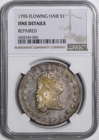 1795 Flowing Hair Early Silver Dollar $1 - NGC Fine Details Cover