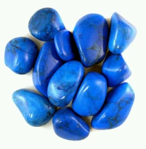 Cristales de piedras preciosas howlite azul turquesa caída de 1/4 lb 30-50 especímenes de piedra - Imagen 1 de 2