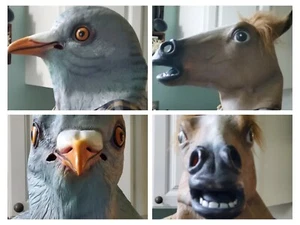 HORSE Mask FULL SIZE Halloween Costumes Adult HEAD Latex - Picture 1 of 3
