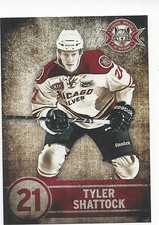 20013-14 Chicago Wolves (AHL) Tyler Shattock (Braehead Clan)
