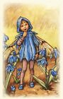 The Scilla Fairy, Flower Fairies Of The Garden By Cicely Mary Barker --Postcard