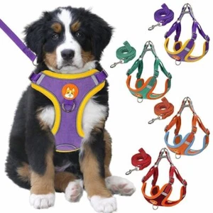 Dog Pet Puppy Mesh Harness Vest Collar Breathable Soft Strap Leash Reflective - Picture 1 of 16