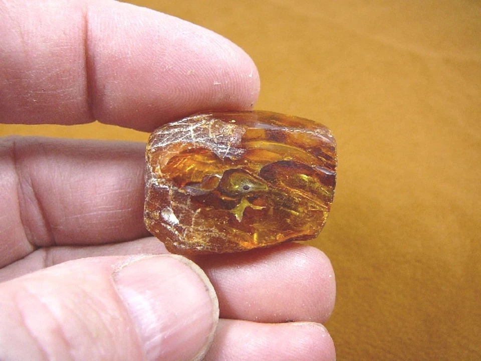 (P-1090-1) Dorado NARANJA ÁMBAR BÁLTICO Polonia para Joyería Coleccionista Espécimen Foto 1 de 1
