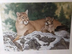 Charles Frace Print 28x22 Titled "Family Ties" Wild American Cougars Signed COA - Picture 1 of 13