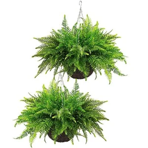QIANYUN Fake Hanging Plant- 23in Boston Ferns Greenery Plants Artificial Pers... - Picture 1 of 6