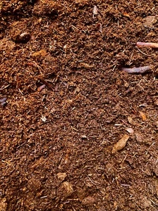 Sphagnum Peat Moss - 1 Gal - Picture 1 of 4