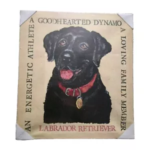 Canvas Print Wall Art Wood Frame Labrador Retriever 12"x11"x1.5" - Picture 1 of 4