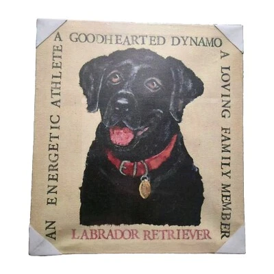 Canvas Print Wall Art Wood Frame Labrador Retriever 12"x11"x1.5" - Image 1 of 4