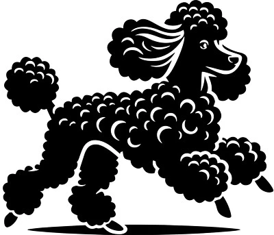 PUDEL Kleinpudel Aufkleber Autoaufkleber Folienaufkleber sticker Silhouette #86 - Bild 1 von 3