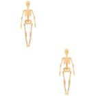 Set Of 2 Skeleton Model Kit Anatomy Child Bagged Body Human