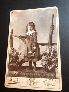 Sweet Little Girl, Lace Collar on Dress, Flowers, c1870s, Cabinet Photo, #CP604 - Picture 1 of 2