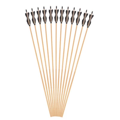 6Pcs 31" Archery Wooden Arrows OD 8mm Turkey Feather Bow Hunting Shooting - Image 1 of 4
