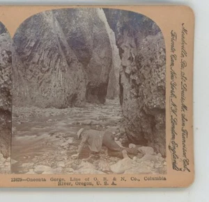 Oneonta Gorge Columbia River ODER Oregon Keystone USA Stereoview - Bild 1 von 2