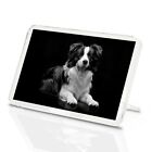 Classic Magnet With Stand - BW - Black Border Collie Farm Dog Puppy #42717