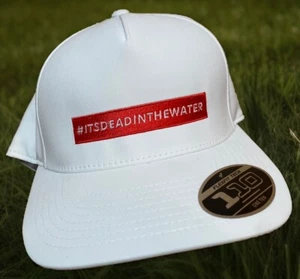 LIV Golf League NUEVA Gorra It’s Dead In The Water Flex Fit Gorra - Imagen 1 de 16