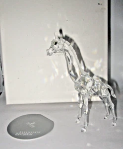 Swarovski Crystal Figurine BABY GIRAFFE 7603 002 Mint Original Box + COA 5.5" - Picture 1 of 6