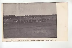 Il più grande ranch di Hereford negli Stati Uniti nella contea di Graham KS - Foto 1 di 1
