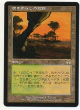 MTG Japanese Windswept Heath Onslaught MP