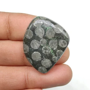 Designer black fossil coral cabochon bryozoan fossilized coral gemstone M6560 AU - Bild 1 von 5